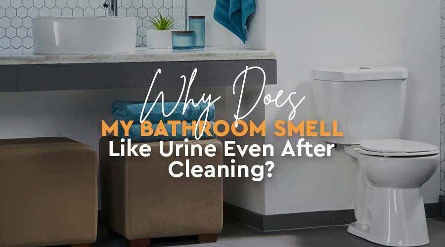 http://fominsoap.com/cdn/shop/articles/Why_Does_My_Bathroom_Smell_Like_Urine_Even_After_Cleaning.jpg?v=1697219508