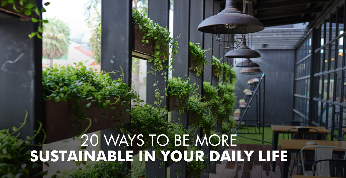 How to Be More Sustainable in 2024: 20 Tips for a Greener Life