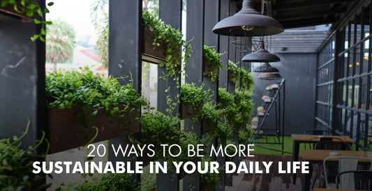 How to Be More Sustainable in 2024: 20 Tips for a Greener Life
