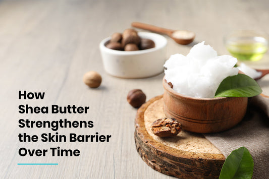 How Shea Butter Strengthens the Skin Barrier Over Time