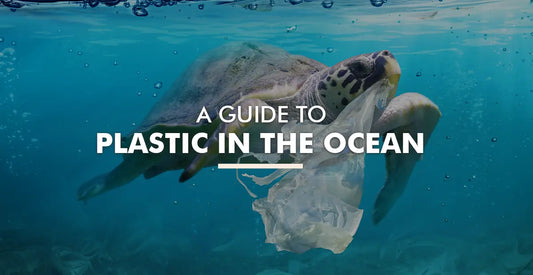 How Much Plastic Is in the Ocean? Unveiling the Shocking Facts