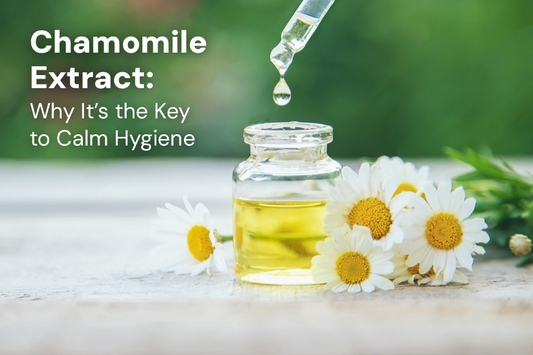 Chamomile Extract: Why It’s the Key to Calm Hygiene