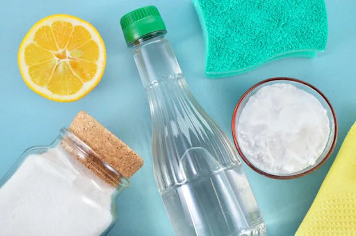 natural drain cleaner